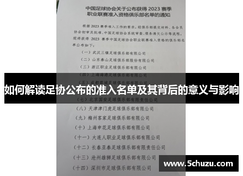 如何解读足协公布的准入名单及其背后的意义与影响