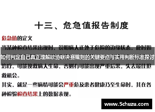 如何判定自己真正理解欧协联决赛规则的关键要点与实用判断标准探讨