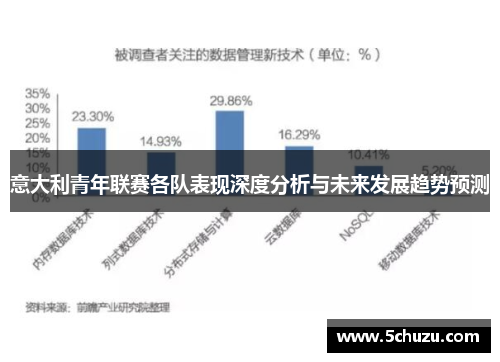 意大利青年联赛各队表现深度分析与未来发展趋势预测