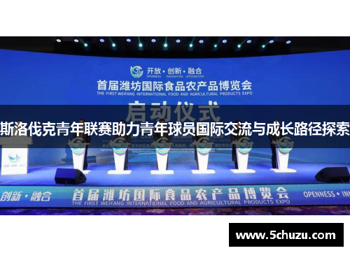 斯洛伐克青年联赛助力青年球员国际交流与成长路径探索